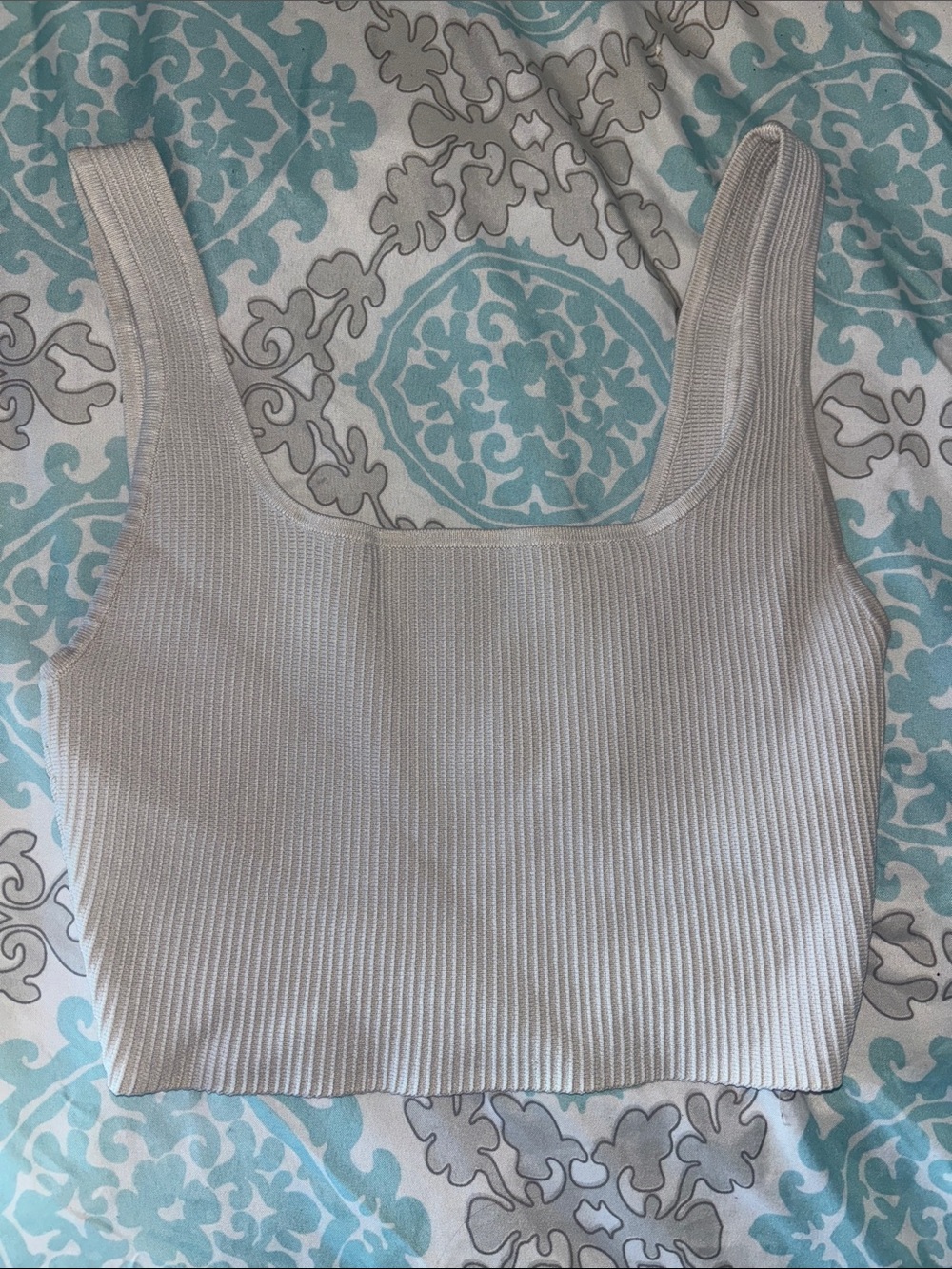Babaton aritzia top